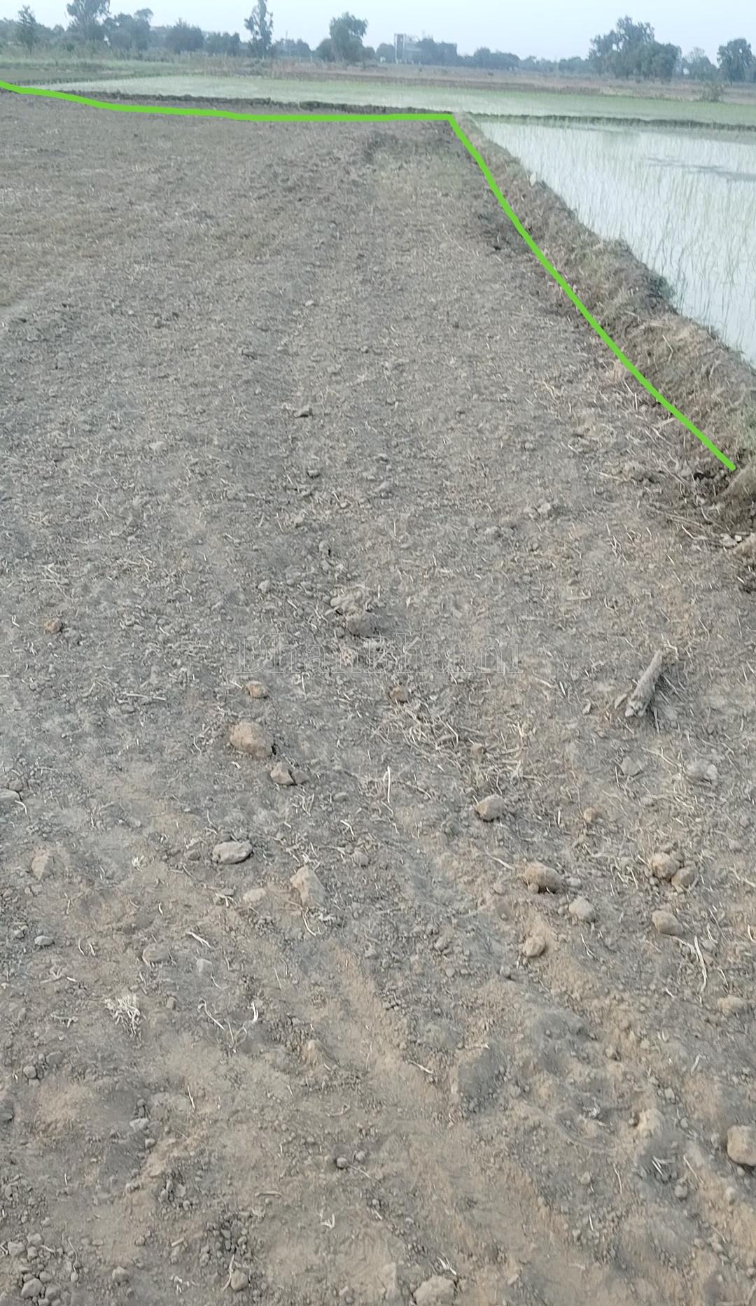 property_images/agricultural_in_faridabad_1787823032_6a9003b849d7e.jpg