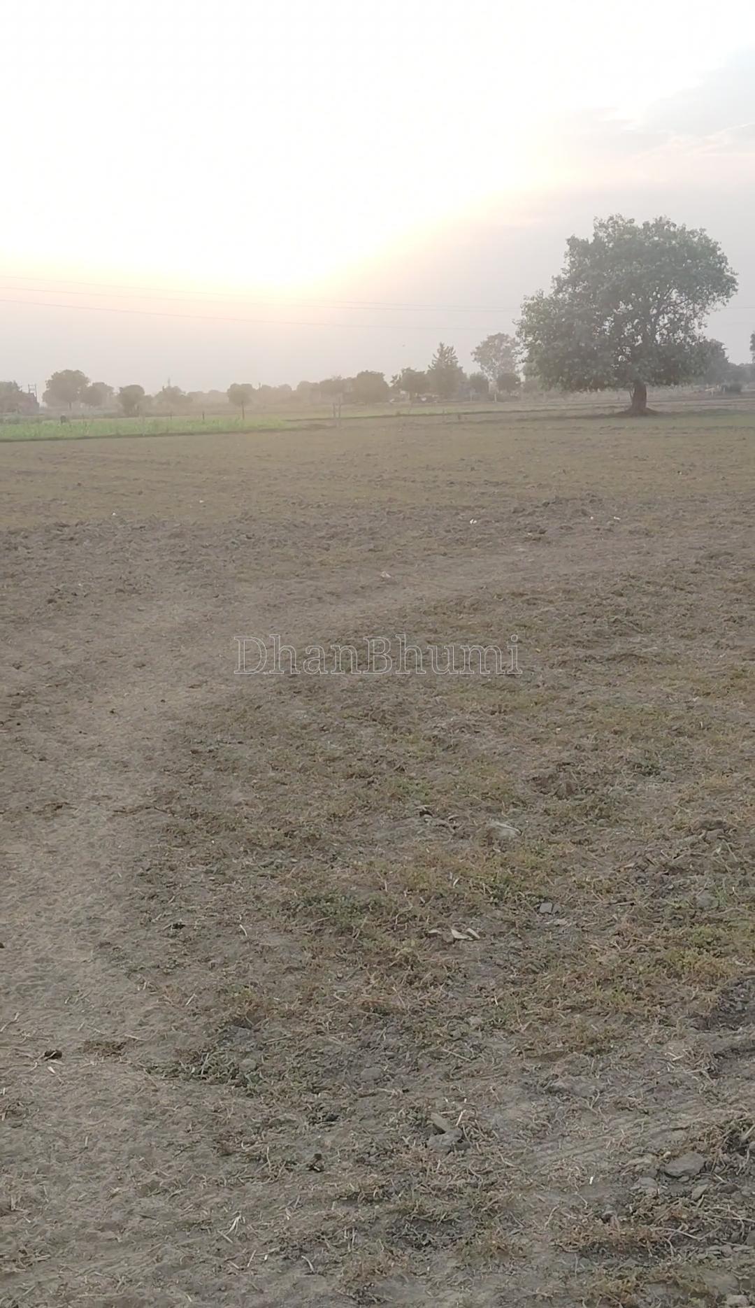 property_images/agricultural_in_faridabad_1787823032_6a9003b85a8eb.jpg