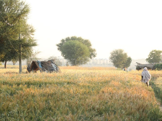property_images/agricultural_in_farrukhabad_1788782097_6a9ea611e46e3.png