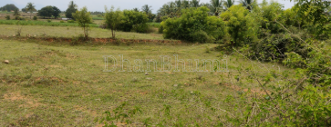 property_images/agricultural_in_fatehabad_1787381823_6a89483f2f623.png