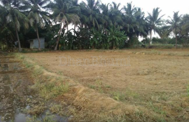 property_images/agricultural_in_fatehabad_1787382020_6a894904a1691.png