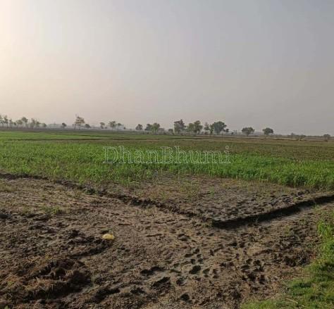 property_images/agricultural_in_fatehgarh_sahib_1780053244_6a1974fcbaab3.jpg