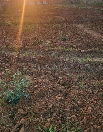 property_images/agricultural_in_fazilka_1786341614_6a7968ee18179.png