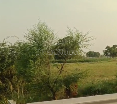 property_images/agricultural_in_firozabad_1788599793_6a9bddf15732c.png