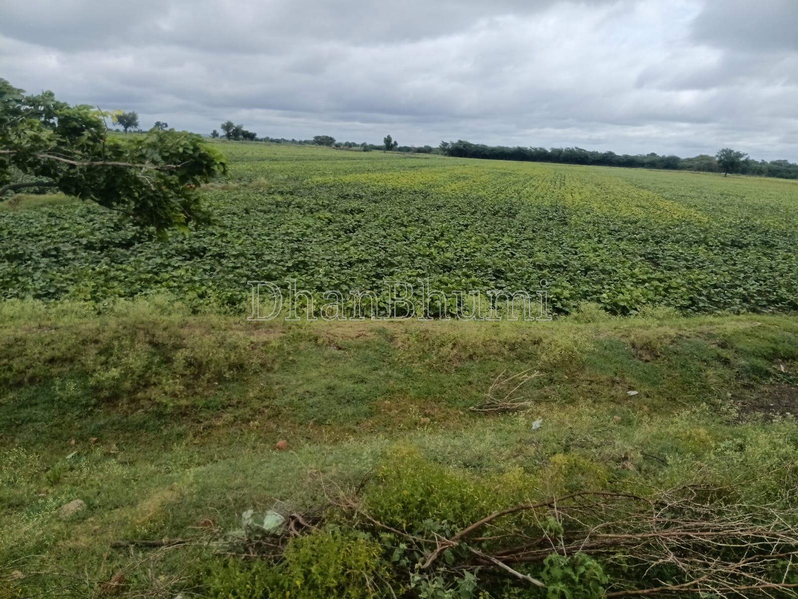 property_images/agricultural_in_gadag_1787057607_6a8455c729383.jpg