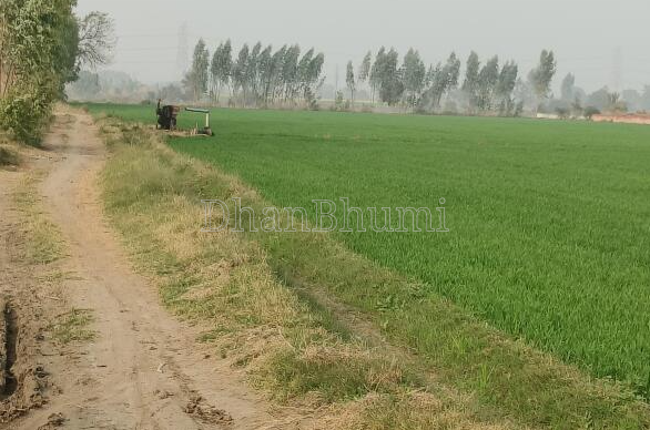 property_images/agricultural_in_gadchiroli_1784809565_6a62085d9f7d2.PNG