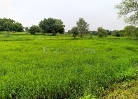 property_images/agricultural_in_gandhinagar_1791875327_6acdd8ff8bb1d.PNG