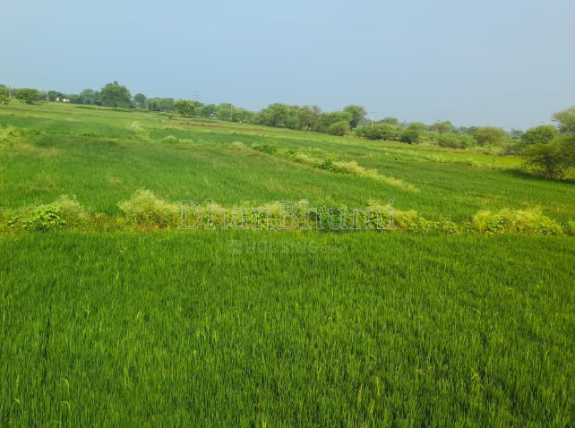 featured_img
