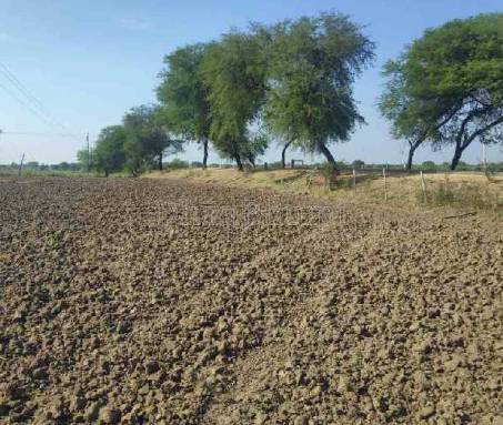 property_images/agricultural_in_gariaband_1781688626_6a326932bde04.PNG