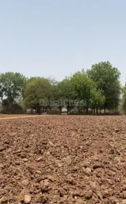 property_images/agricultural_in_gariaband_1781688804_6a3269e4770ba.PNG