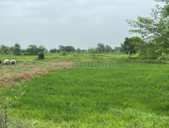 property_images/agricultural_in_gariaband_1790321102_6ab621ce55817.PNG