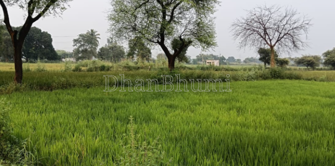 featured_img