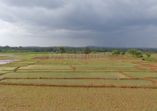property_images/agricultural_in_gaurela_pendra_marwahi_gpm_1785746639_6a7054cfeb208.png