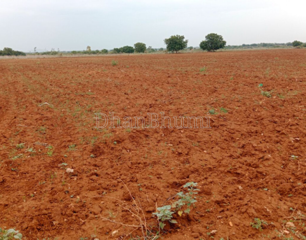 property_images/agricultural_in_gaurela_pendra_marwahi_gpm_1785746921_6a7055e9bcc15.png