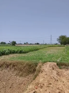 property_images/agricultural_in_gautam_buddh_nagar_1782986571_6a46374bab88a.PNG