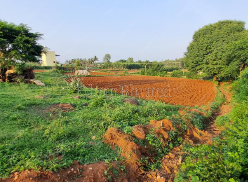 property_images/agricultural_in_gautam_buddha_nagar_1787812092_6a8fd8fc73584.png