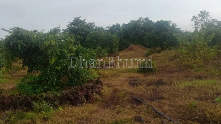 property_images/agricultural_in_gautam_buddha_nagar_1787812982_6a8fdc76dbdcb.png