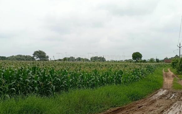 property_images/agricultural_in_gautam_buddha_nagar_1789627140_6aab8b04039b1.PNG
