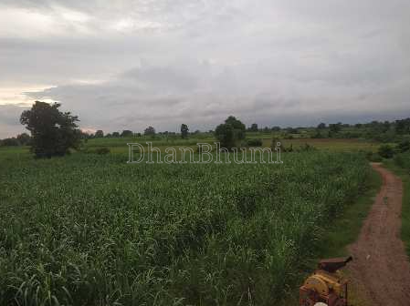 property_images/agricultural_in_gautam_buddha_nagar_1789627363_6aab8be35999a.PNG