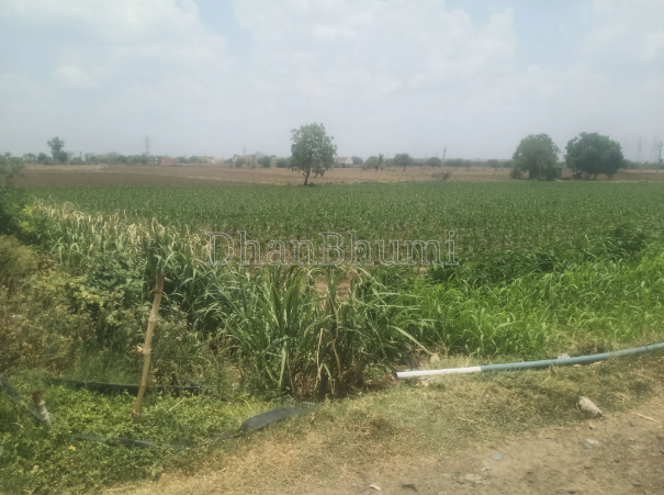 property_images/agricultural_in_gautam_buddha_nagar_1789627679_6aab8d1f13566.PNG