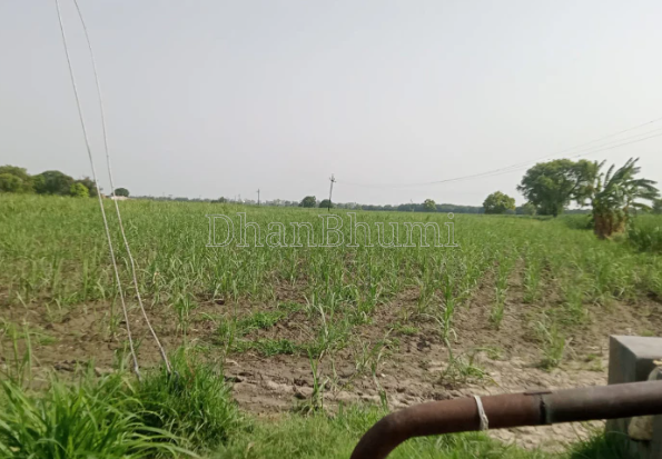 property_images/agricultural_in_gautam_buddha_nagar_1789628561_6aab9091ec8cd.PNG