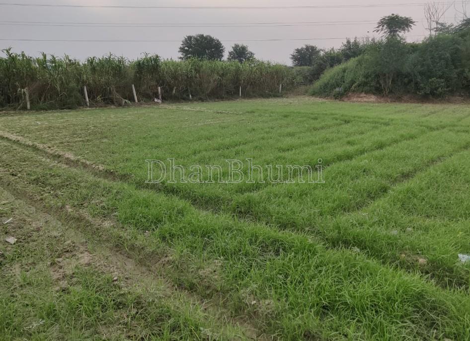 property_images/agricultural_in_ghaziabad_1784788451_6a61b5e3c51f1.jpg