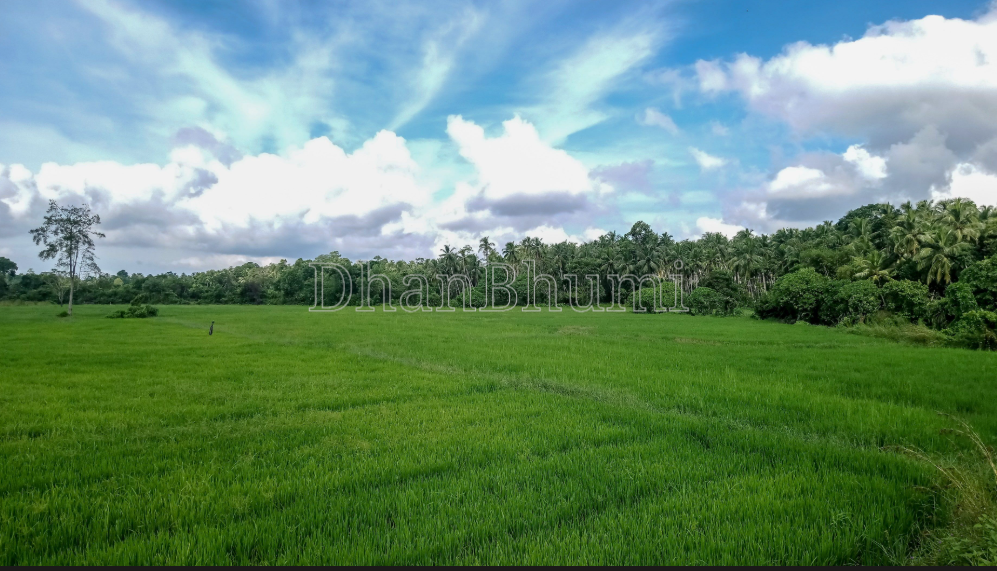 property_images/agricultural_in_ghaziabad_1786951116_6a82b5cc69c33.png