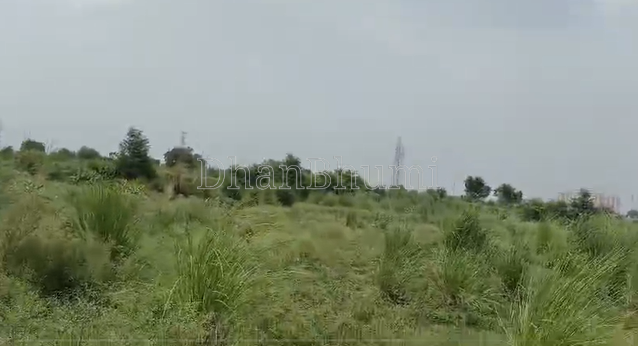 property_images/agricultural_in_ghaziabad_1789559336_6aaa8228c02f8.png