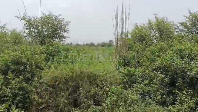 property_images/agricultural_in_ghaziabad_1789559336_6aaa8228d6f91.png