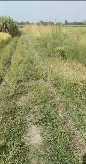 property_images/agricultural_in_ghaziabad_1790253765_6ab51ac5a5abe.PNG