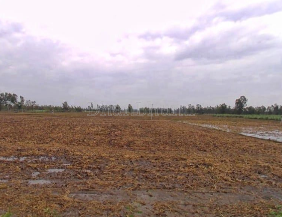 property_images/agricultural_in_ghaziabad_1790420412_6ab7a5bc0360f.png