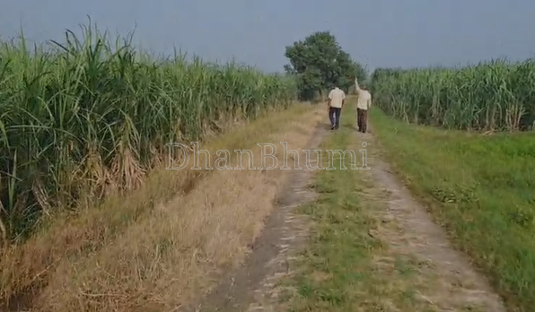 property_images/agricultural_in_ghaziabad_1791614885_6ac9dfa5baa6d.png