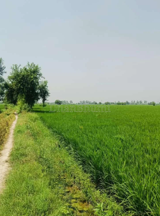 property_images/agricultural_in_ghaziabad_1792568069_6ad86b05b25b5.png