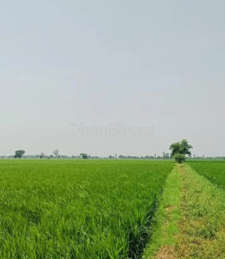 property_images/agricultural_in_ghaziabad_1792568574_6ad86cfec3b11.png
