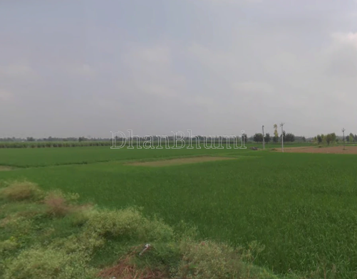 property_images/agricultural_in_ghaziabad_1792576628_6ad88c74edc6f.png
