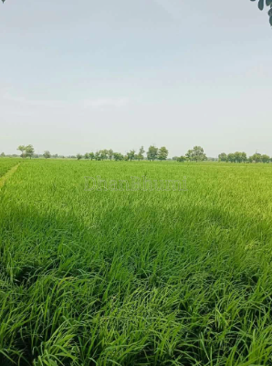 property_images/agricultural_in_ghaziabad_1792579094_6ad8961609aa0.png