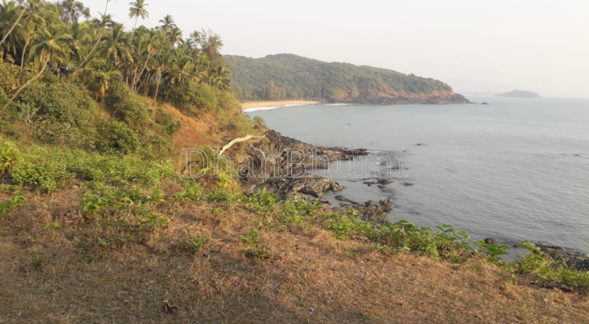 property_images/agricultural_in_goa_1786366408_6a79c9c83ebf4.PNG