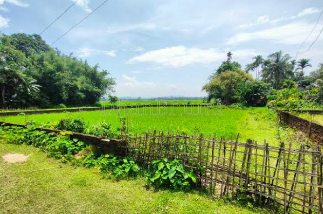 property_images/agricultural_in_golaghat_1789974310_6ab0d72624b49.png
