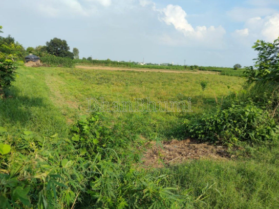 property_images/agricultural_in_gonda_1787211958_6a86b0b63905c.PNG