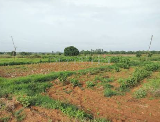 property_images/agricultural_in_gonda_1787212414_6a86b27e0a672.PNG