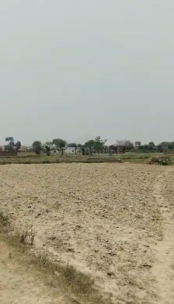 property_images/agricultural_in_gorakhpur_1781762438_6a3389863d1fc.PNG