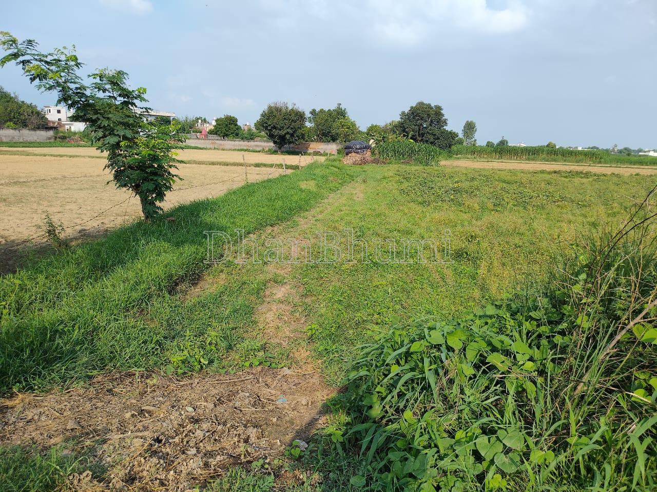 property_images/agricultural_in_greater_noida_1785307100_6a699fdc048ea.jpeg