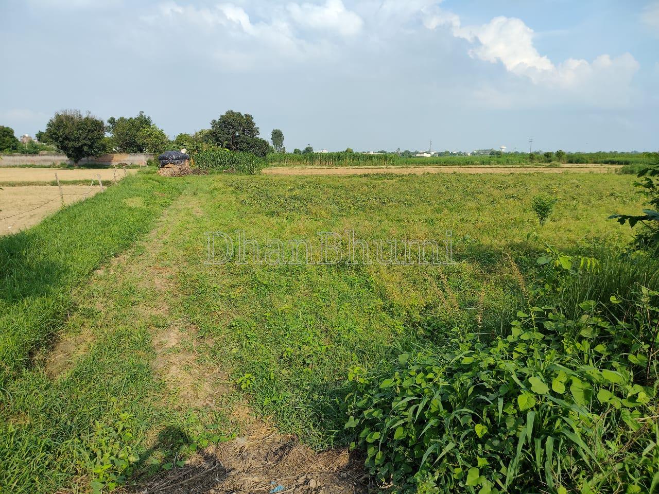 property_images/agricultural_in_greater_noida_1785307100_6a699fdc6b530.jpeg
