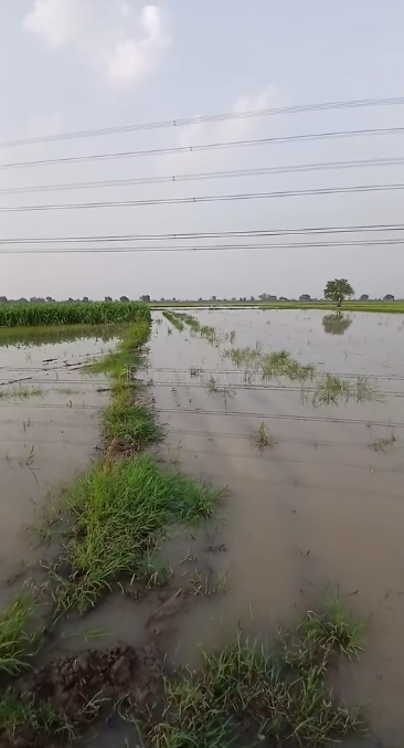 property_images/agricultural_in_greater_noida_1786430855_6a7ac58796203.PNG