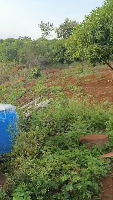 property_images/agricultural_in_gulbarga_1785911042_6a72d7027b434.png