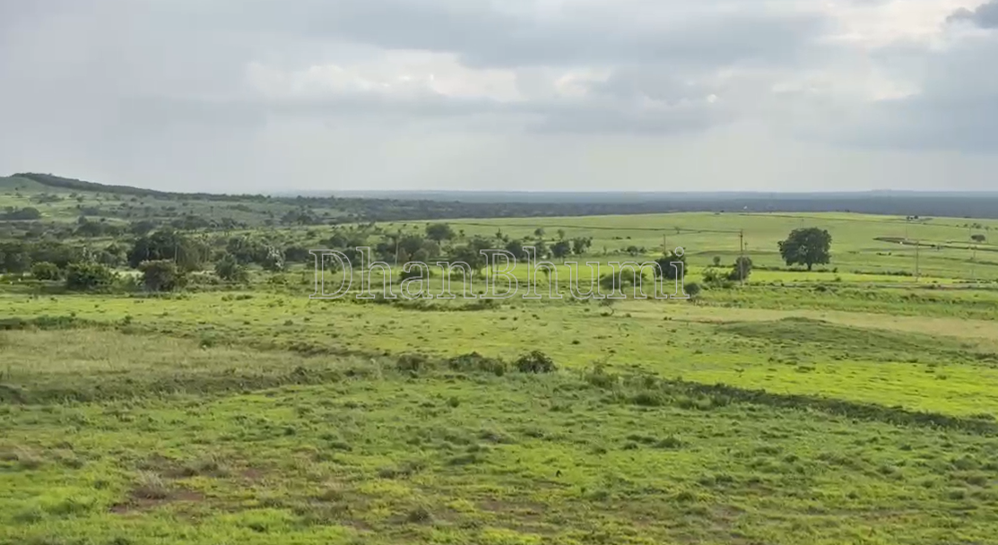 property_images/agricultural_in_gulbarga_1787221111_6a86d477177a3.png