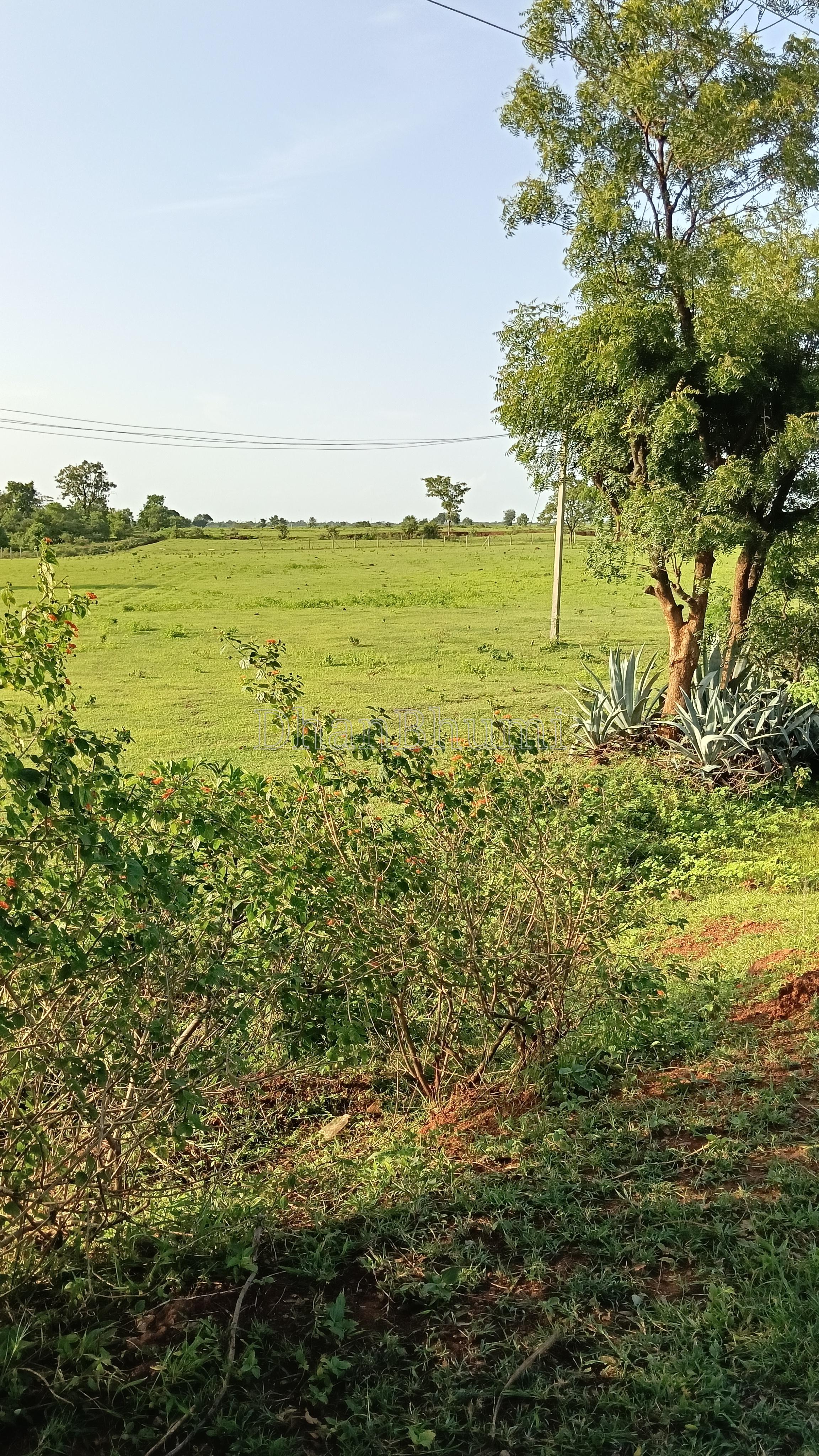 property_images/agricultural_in_gulbarga_1788281835_6a9703eb1c007.jpg