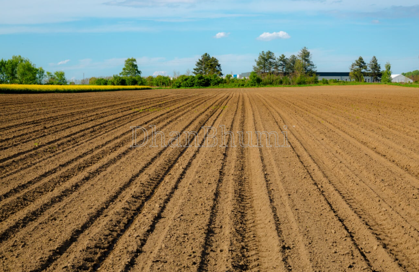 property_images/agricultural_in_guna_1786169201_6a76c771ba93b.png