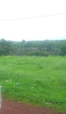 property_images/agricultural_in_guna_1787657131_6a8d7bab721dd.PNG