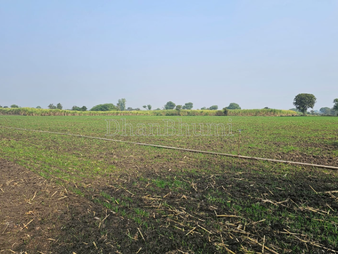 property_images/agricultural_in_guna_1790599604_6aba61b44166a.PNG